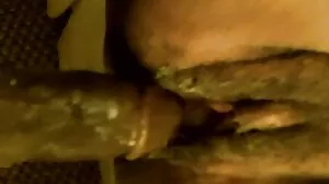 یورپی خوبصورت چہرے کے تبادلے