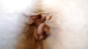 نوجوانوں کے لئے اجر فحش Hubb جاؤ مزہ momenty
