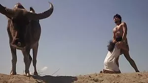 سیاہ اور سفید ہم جنس پرست لڑکیوں کے کھانے کے باہر